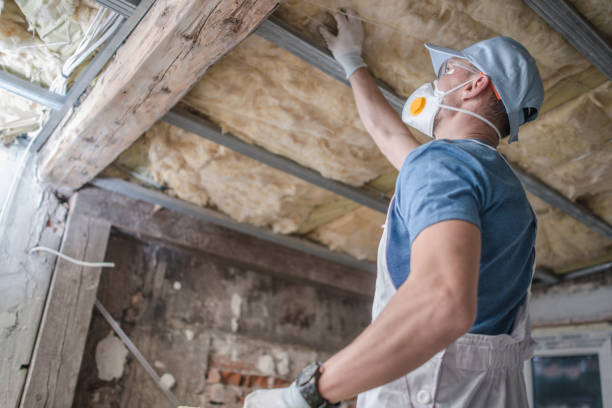 Types of Insulation We Offer in Columbiana, OH