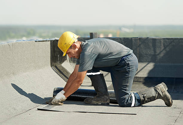 Best Commercial Insulation in Columbiana, OH