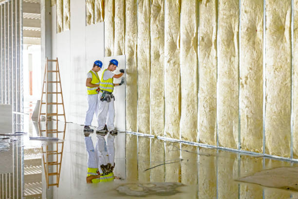 Best Spray Foam Insulation in Columbiana, OH